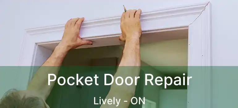  Pocket Door Repair Lively - ON