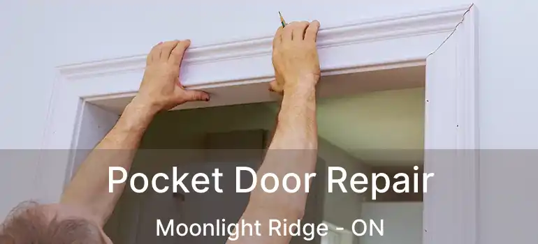  Pocket Door Repair Moonlight Ridge - ON