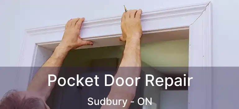  Pocket Door Repair Sudbury - ON