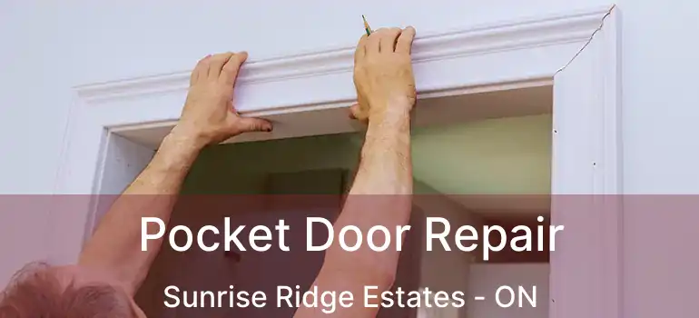  Pocket Door Repair Sunrise Ridge Estates - ON