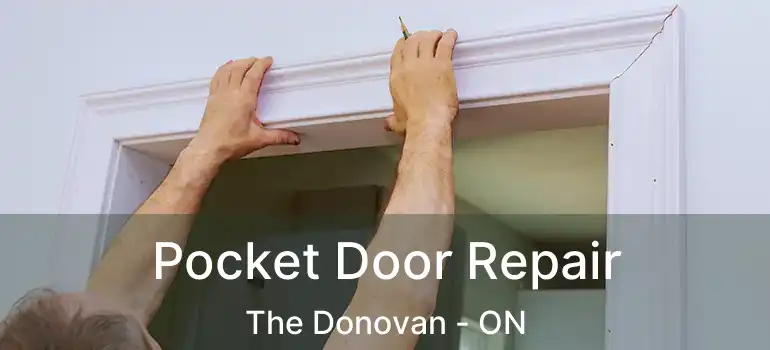  Pocket Door Repair The Donovan - ON