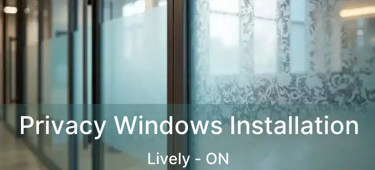  Privacy Windows Installation Lively - ON
