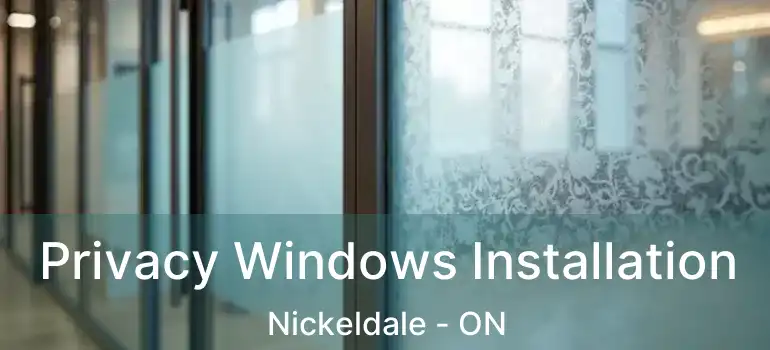  Privacy Windows Installation Nickeldale - ON