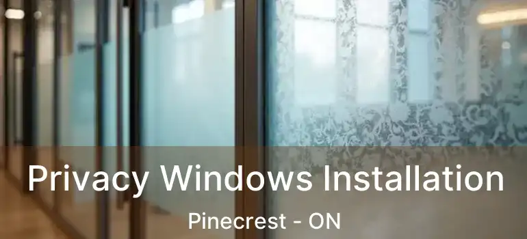  Privacy Windows Installation Pinecrest - ON