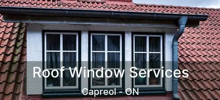  Roof Window Services Capreol - ON