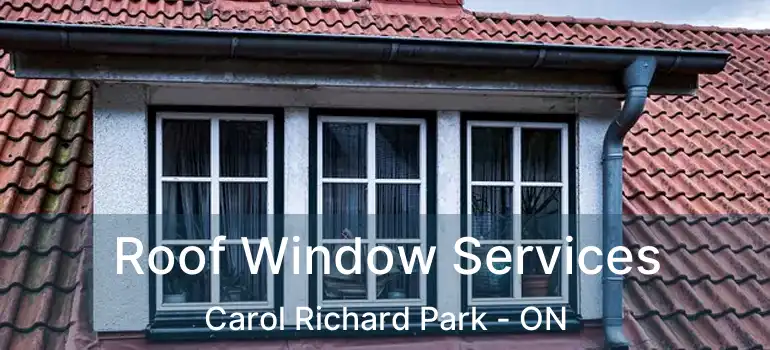  Roof Window Services Carol Richard Park - ON