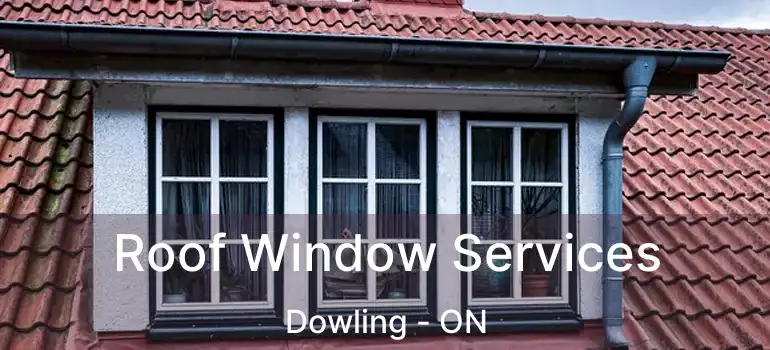 Roof Window Services Dowling - ON