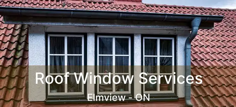  Roof Window Services Elmview - ON
