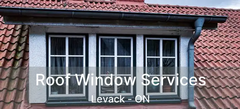  Roof Window Services Levack - ON