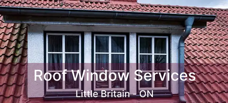  Roof Window Services Little Britain - ON