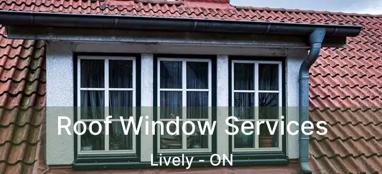  Roof Window Services Lively - ON