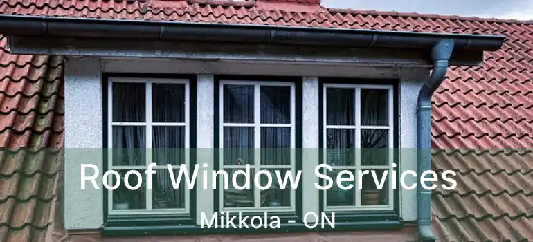  Roof Window Services Mikkola - ON