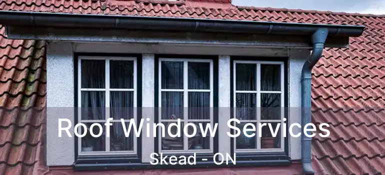  Roof Window Services Skead - ON