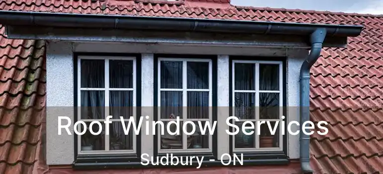  Roof Window Services Sudbury - ON