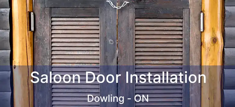  Saloon Door Installation Dowling - ON