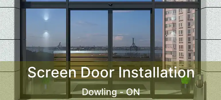 Screen Door Installation Dowling - ON