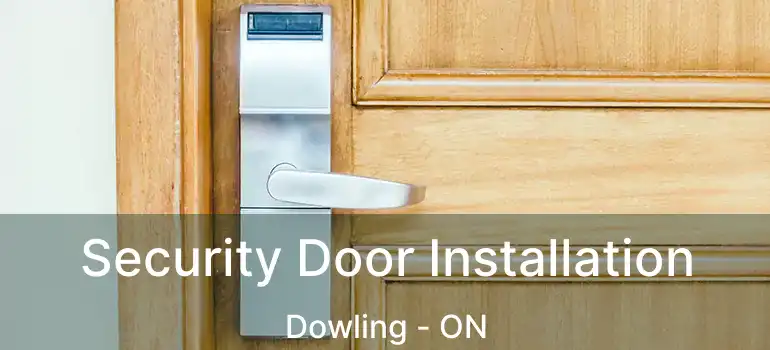  Security Door Installation Dowling - ON