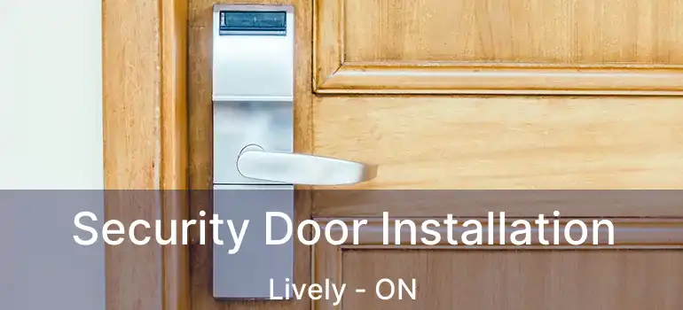  Security Door Installation Lively - ON
