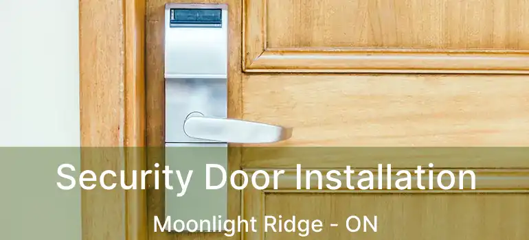  Security Door Installation Moonlight Ridge - ON