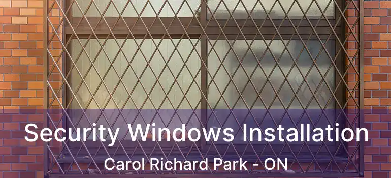  Security Windows Installation Carol Richard Park - ON