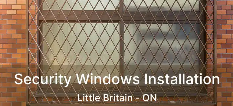  Security Windows Installation Little Britain - ON