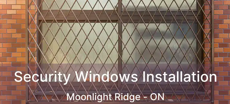  Security Windows Installation Moonlight Ridge - ON