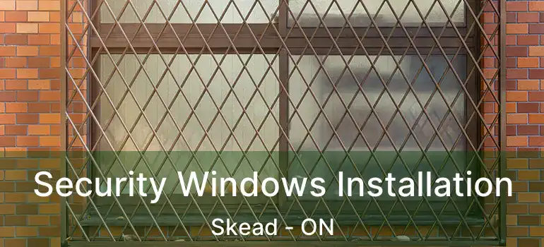  Security Windows Installation Skead - ON
