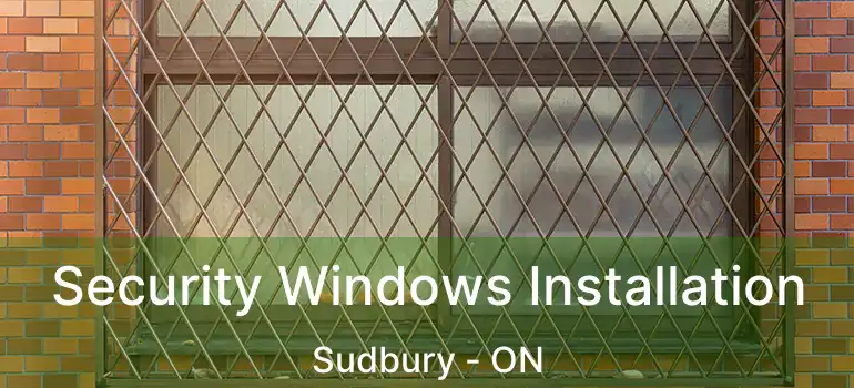  Security Windows Installation Sudbury - ON
