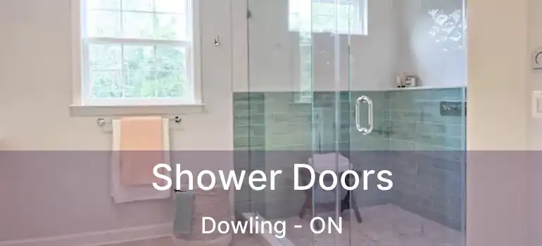  Shower Doors Dowling - ON