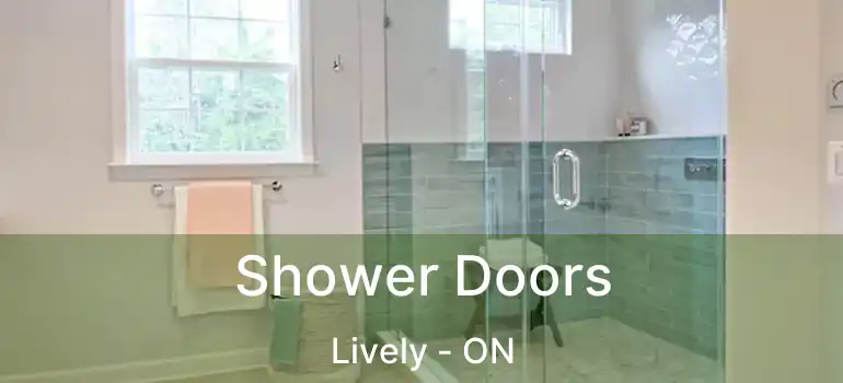  Shower Doors Lively - ON