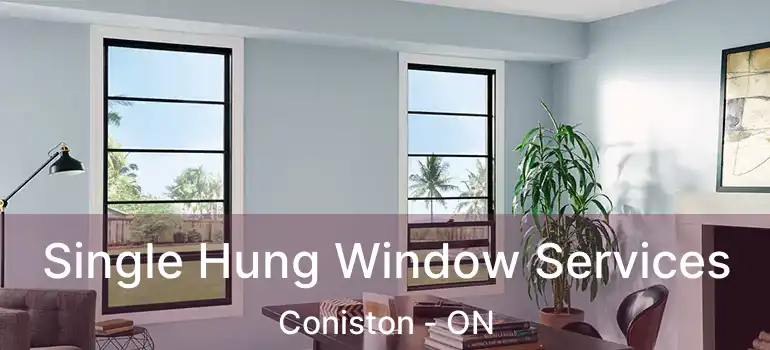  Single Hung Window Services Coniston - ON