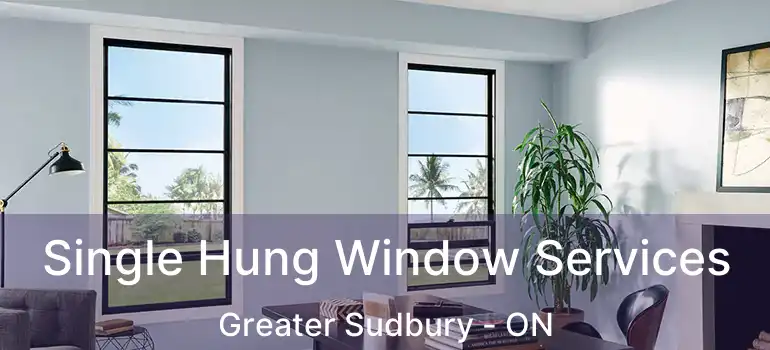  Single Hung Window Services Greater Sudbury - ON