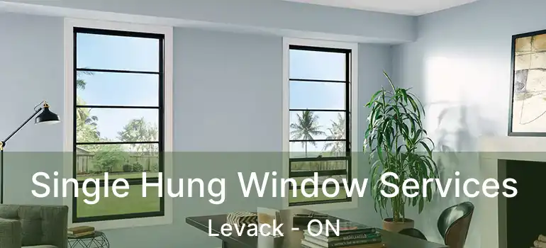  Single Hung Window Services Levack - ON