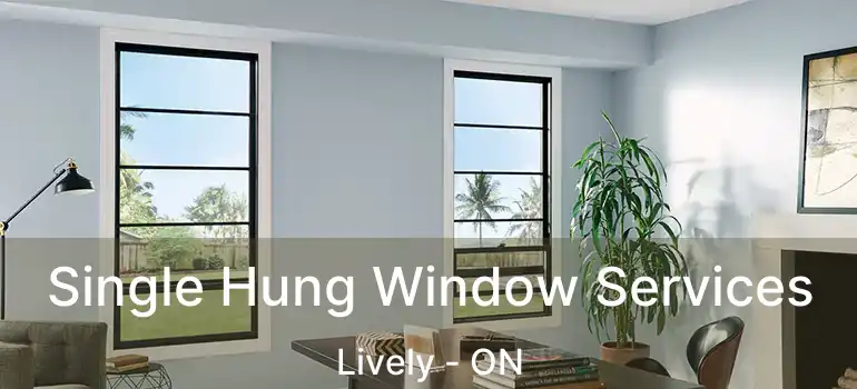  Single Hung Window Services Lively - ON