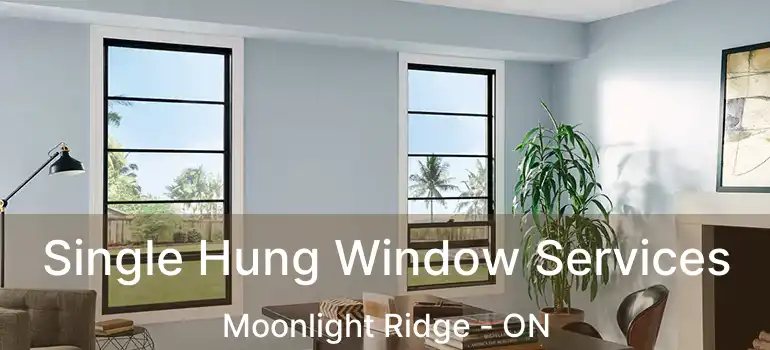  Single Hung Window Services Moonlight Ridge - ON