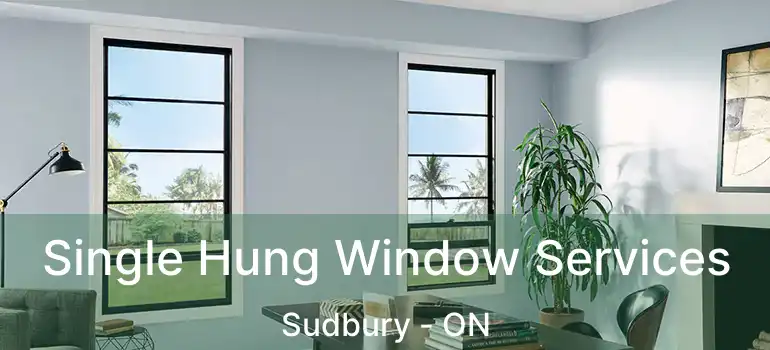  Single Hung Window Services Sudbury - ON