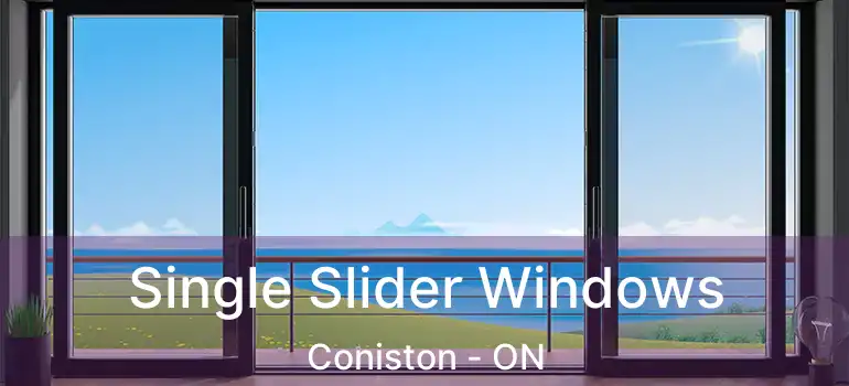  Single Slider Windows Coniston - ON