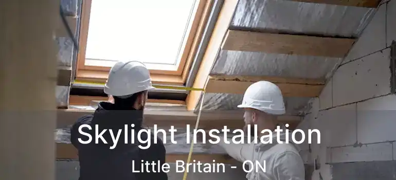  Skylight Installation Little Britain - ON