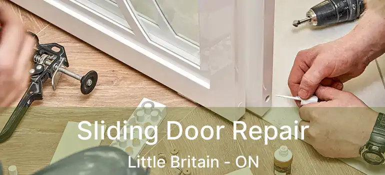  Sliding Door Repair Little Britain - ON
