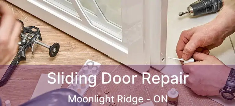  Sliding Door Repair Moonlight Ridge - ON