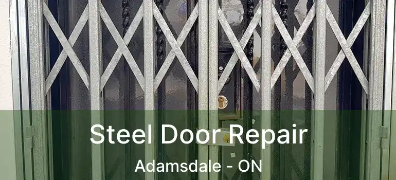  Steel Door Repair Adamsdale - ON