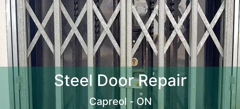  Steel Door Repair Capreol - ON
