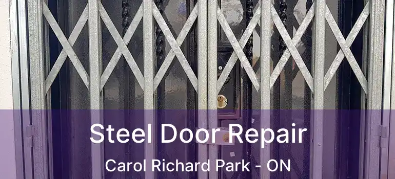  Steel Door Repair Carol Richard Park - ON