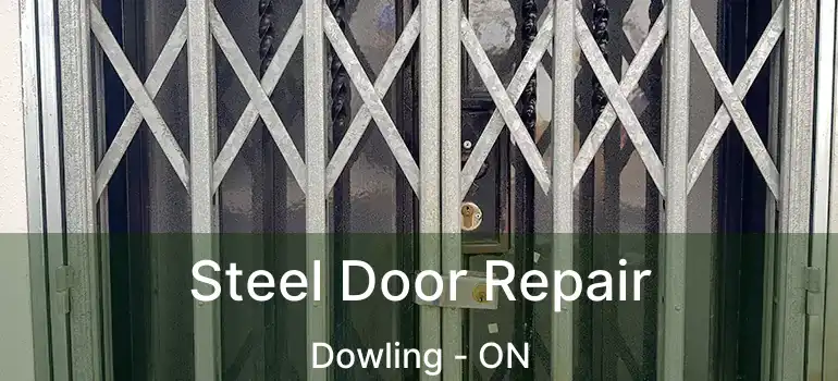  Steel Door Repair Dowling - ON
