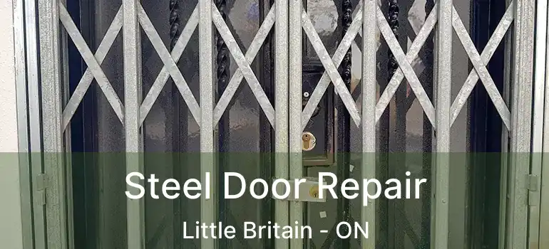  Steel Door Repair Little Britain - ON