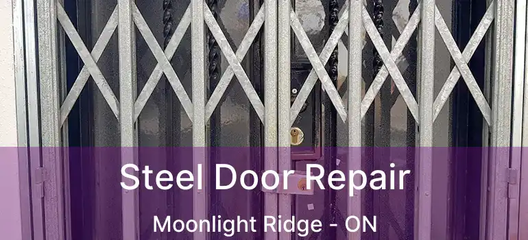 Steel Door Repair Moonlight Ridge - ON