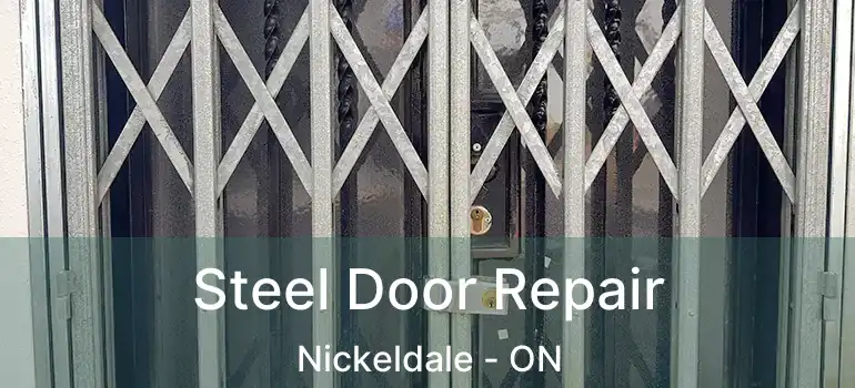  Steel Door Repair Nickeldale - ON