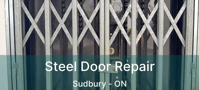 Steel Door Repair Sudbury - ON