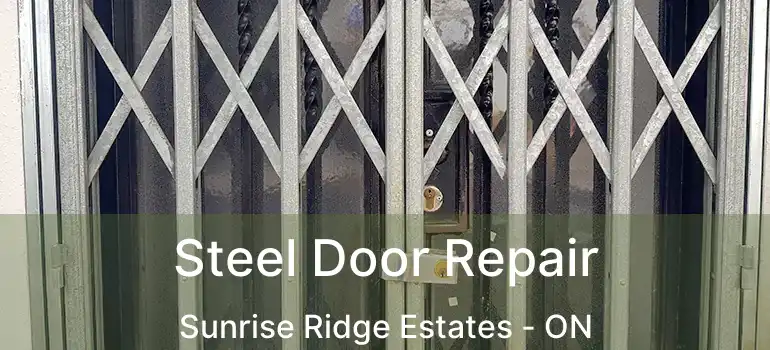  Steel Door Repair Sunrise Ridge Estates - ON