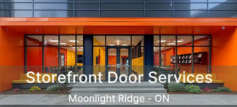  Storefront Door Services Moonlight Ridge - ON